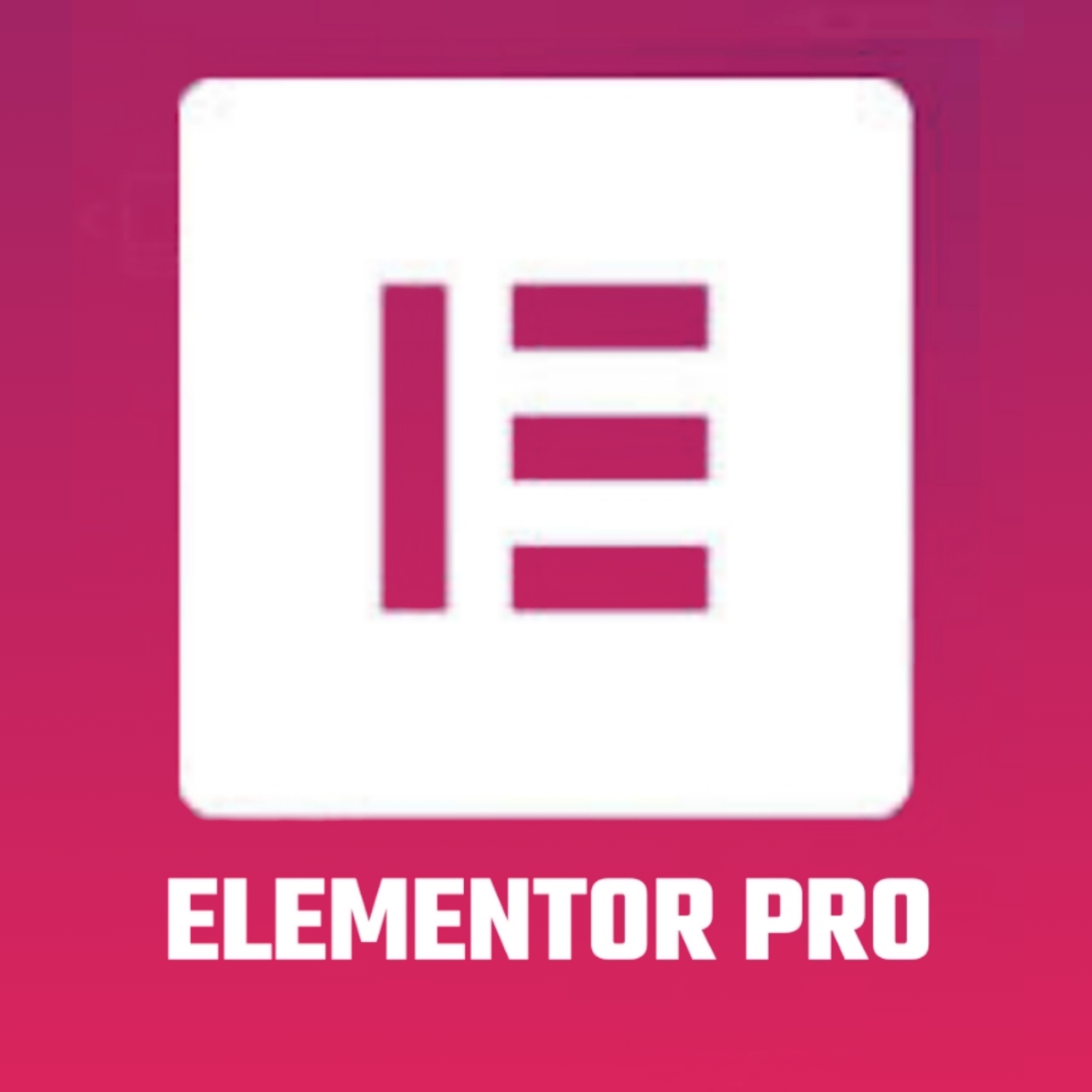 elementor pro